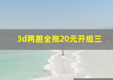 3d两胆全拖20元开组三