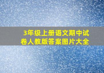 3年级上册语文期中试卷人教版答案图片大全