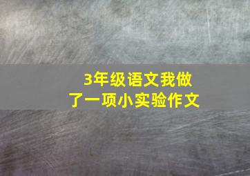 3年级语文我做了一项小实验作文