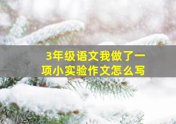 3年级语文我做了一项小实验作文怎么写