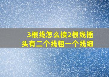 3根线怎么接2根线插头有二个线粗一个线细