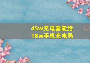 45w充电器能给18w手机充电吗