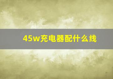 45w充电器配什么线