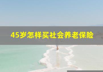 45岁怎样买社会养老保险