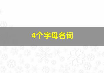 4个字母名词