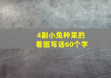 4副小兔种菜的看图写话60个字