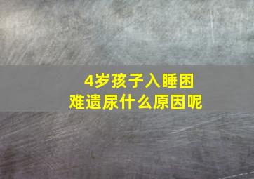 4岁孩子入睡困难遗尿什么原因呢