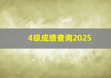 4级成绩查询2025