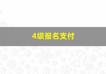 4级报名支付