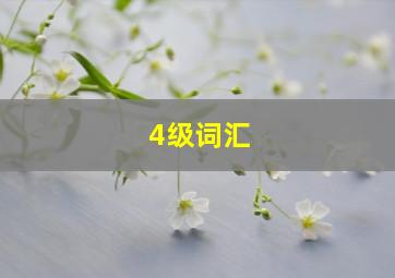 4级词汇