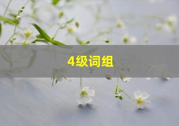 4级词组