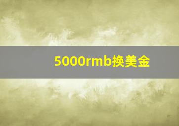 5000rmb换美金