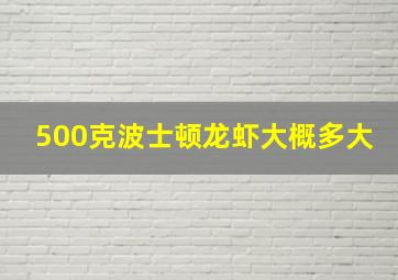 500克波士顿龙虾大概多大