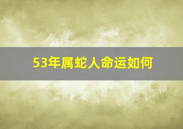 53年属蛇人命运如何