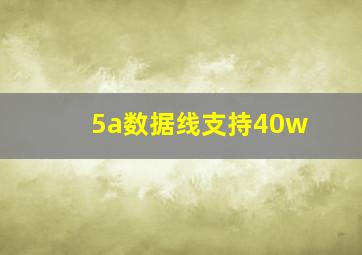 5a数据线支持40w