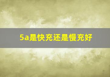 5a是快充还是慢充好