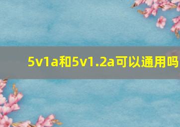 5v1a和5v1.2a可以通用吗