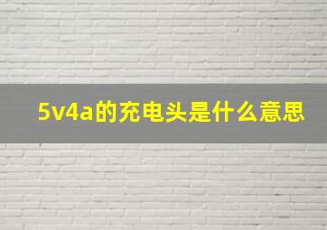 5v4a的充电头是什么意思