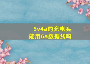 5v4a的充电头能用6a数据线吗