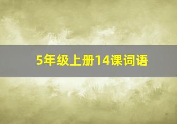 5年级上册14课词语