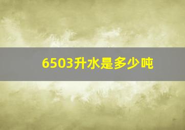 6503升水是多少吨