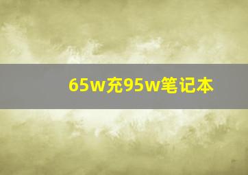 65w充95w笔记本