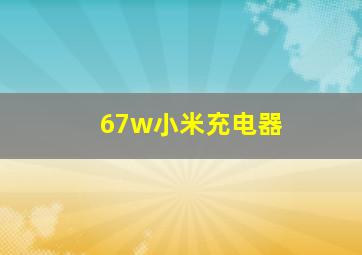 67w小米充电器