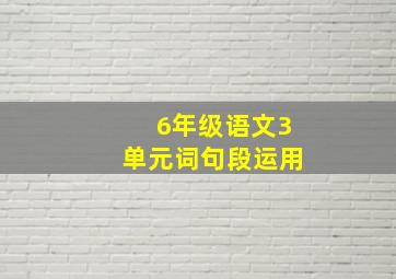 6年级语文3单元词句段运用