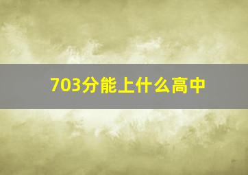 703分能上什么高中