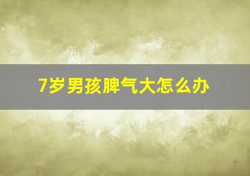 7岁男孩脾气大怎么办