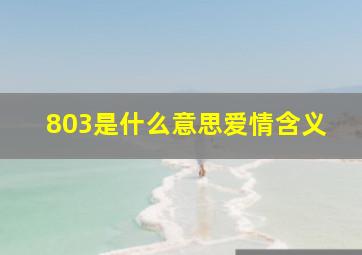 803是什么意思爱情含义