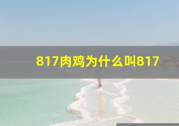 817肉鸡为什么叫817