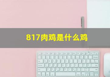 817肉鸡是什么鸡