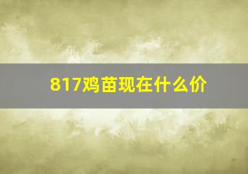 817鸡苗现在什么价