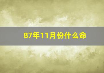 87年11月份什么命