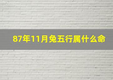 87年11月兔五行属什么命