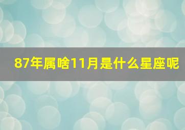 87年属啥11月是什么星座呢