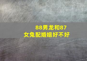 88男龙和87女兔配婚姻好不好