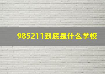 985211到底是什么学校