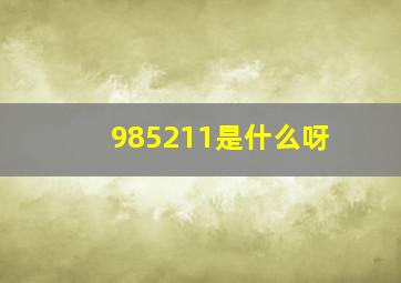 985211是什么呀