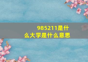 985211是什么大学是什么意思