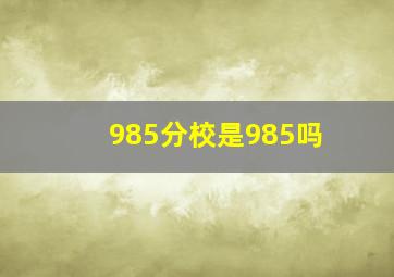 985分校是985吗