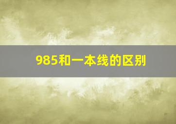 985和一本线的区别