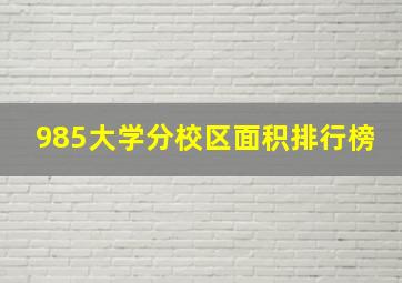 985大学分校区面积排行榜