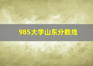 985大学山东分数线