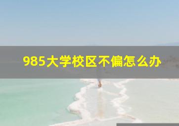 985大学校区不偏怎么办