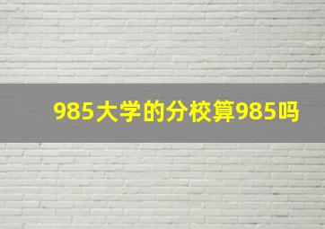 985大学的分校算985吗