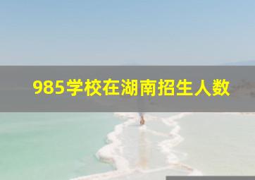 985学校在湖南招生人数