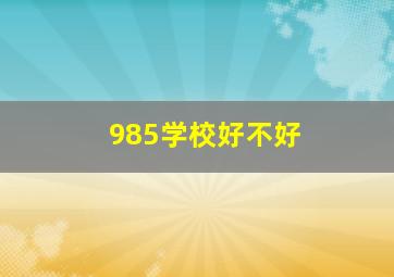 985学校好不好