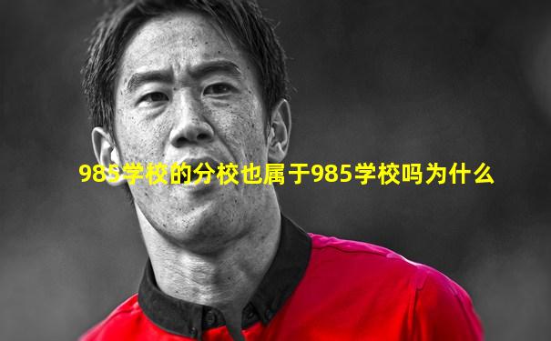 985学校的分校也属于985学校吗为什么